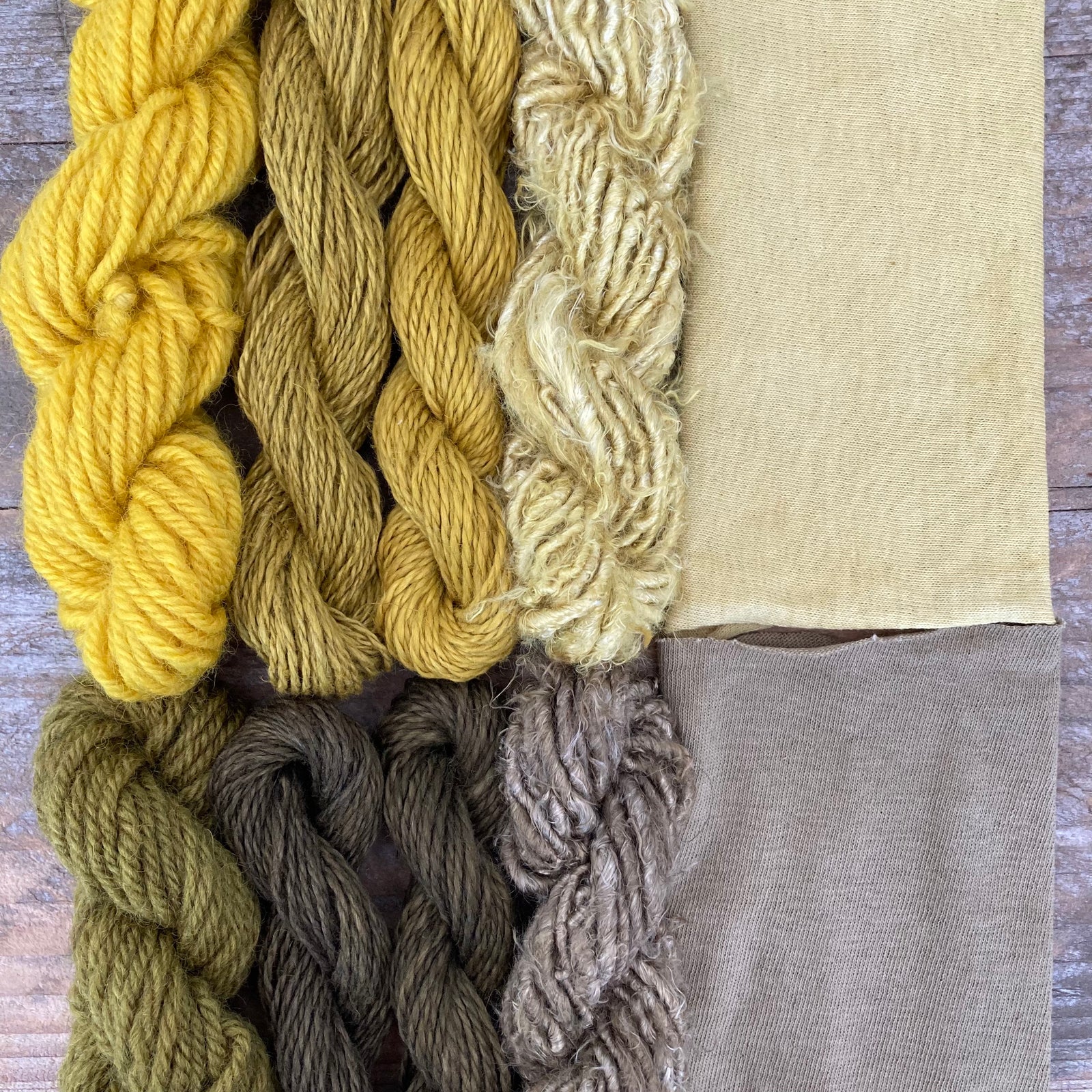 NATURAL DYEING WITH GOLDEN ROD (Solidago)