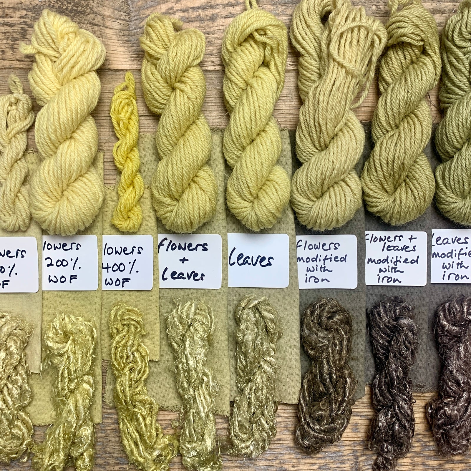NATURAL DYEING WITH DANDELIONS
