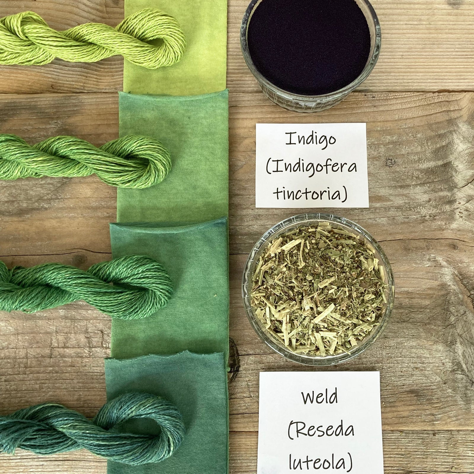 HOW TO GET BOLD GREENS FROM DYE PLANTS