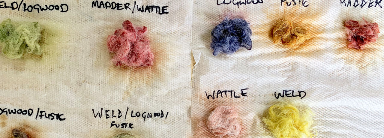 A Weekend of Natural Dyeing in France