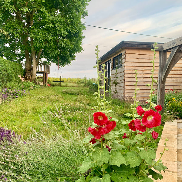 1-1 Tuition & Private Weaving Workshops