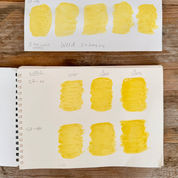 Introduction to Natural Inks & Paints Workshop, Mere, Wiltshire