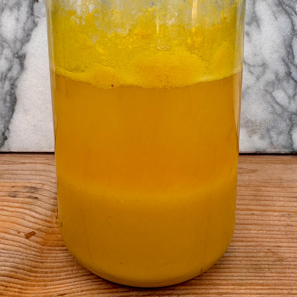 Introduction to Natural Inks & Paints Workshop, Mere, Wiltshire