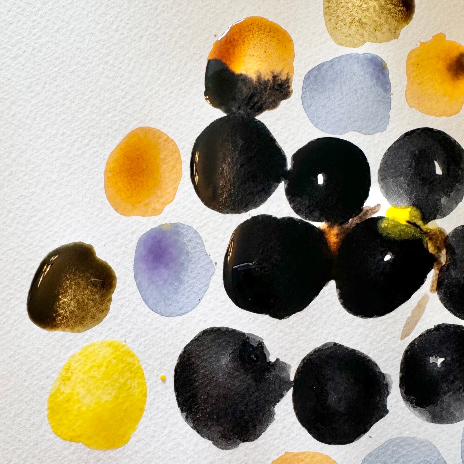 Introduction to Natural Inks & Paints Workshop, Mere, Wiltshire