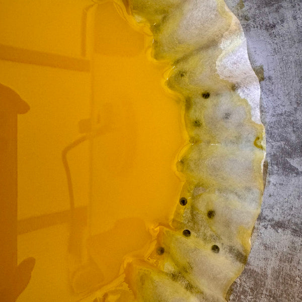 Introduction to Natural Inks & Paints Workshop, Mere, Wiltshire