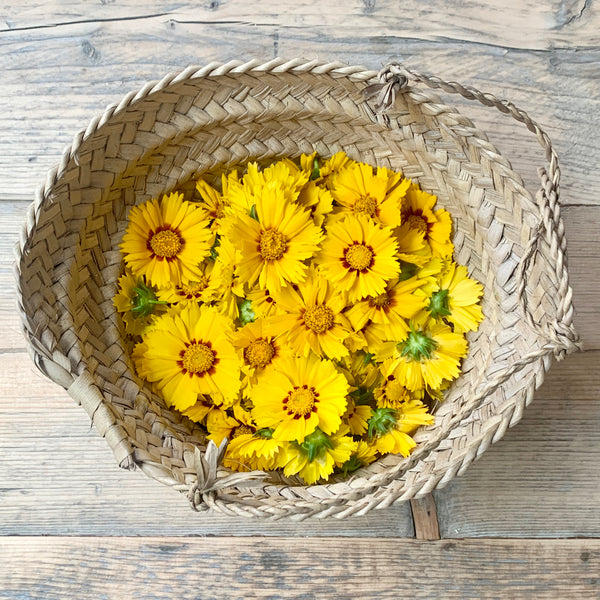 Introduction to Natural Inks & Paints Workshop, Mere, Wiltshire