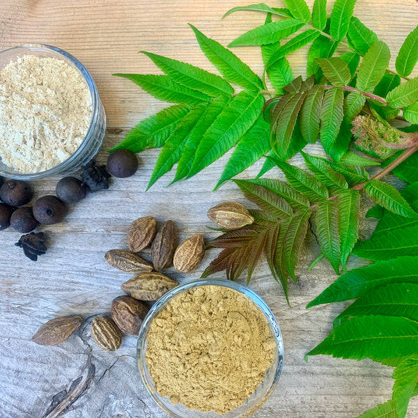 An Introduction to Natural Dyeing: A self-paced online course