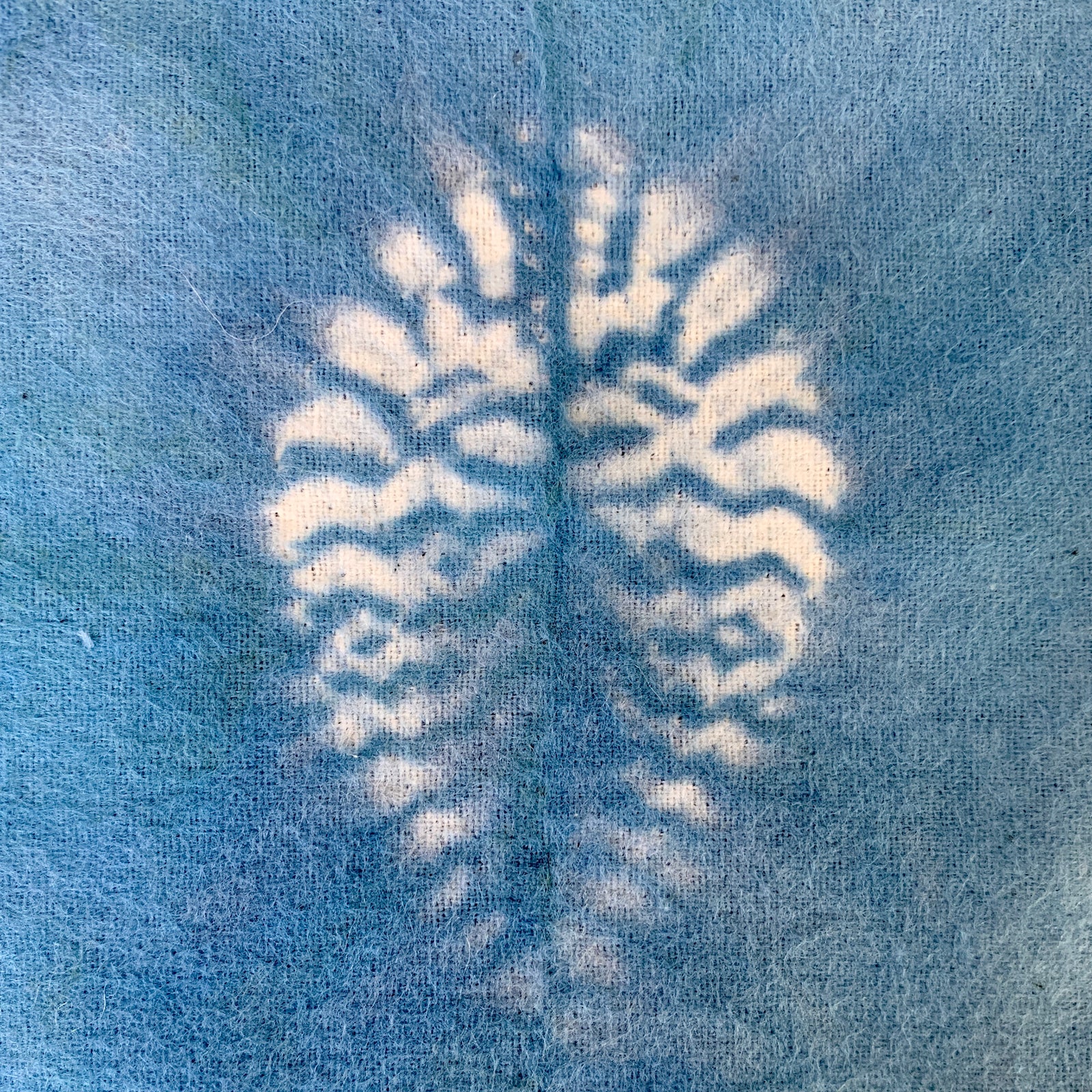 An Introduction to Natural Dyeing: A self-paced online course