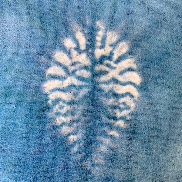 An Introduction to Natural Dyeing: A self-paced online course