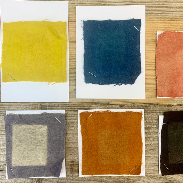 An Introduction to Natural Dyeing: A self-paced online course