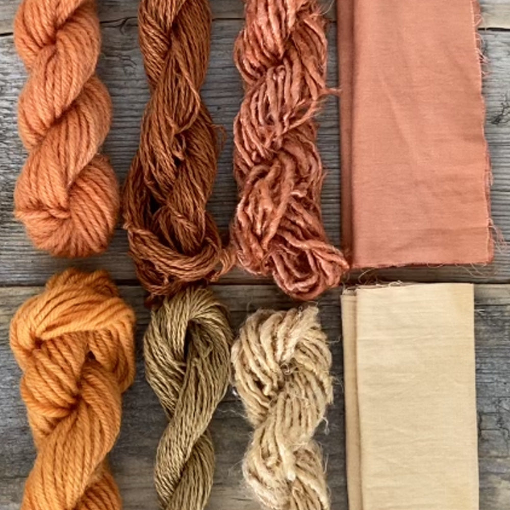 NATURALLY DYEING WITH DYER’S COREOPSIS  (Coreopsis tinctoria)