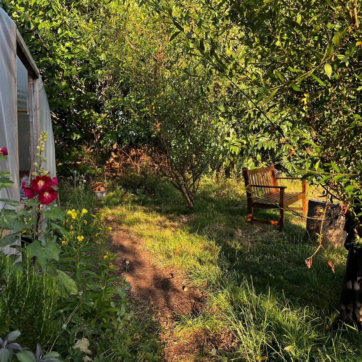 BACK TO NATURE - Natural Paints Workshop