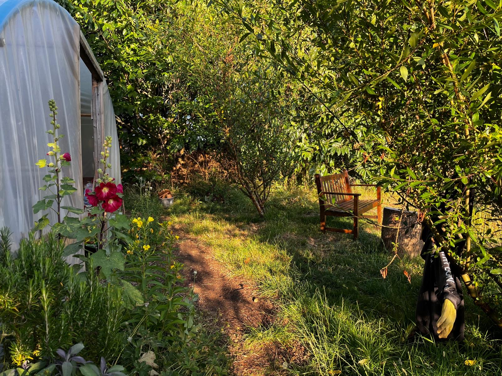 BACK TO NATURE - Natural Paints Workshop