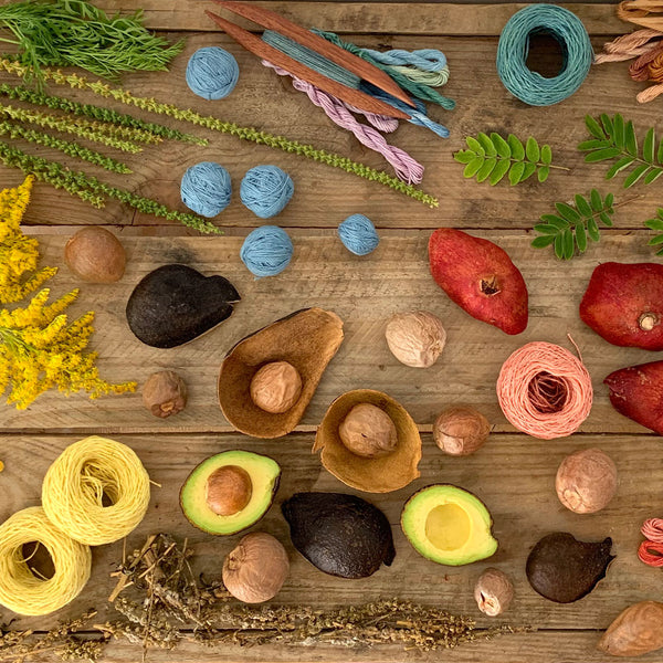 Natural Dyeing Workshops