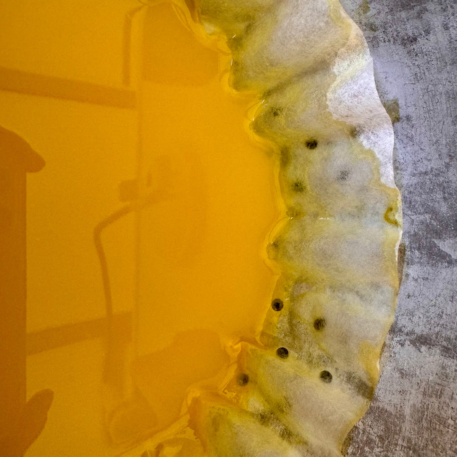 Introduction to Natural Inks & Paints Workshop, Mere, Wiltshire