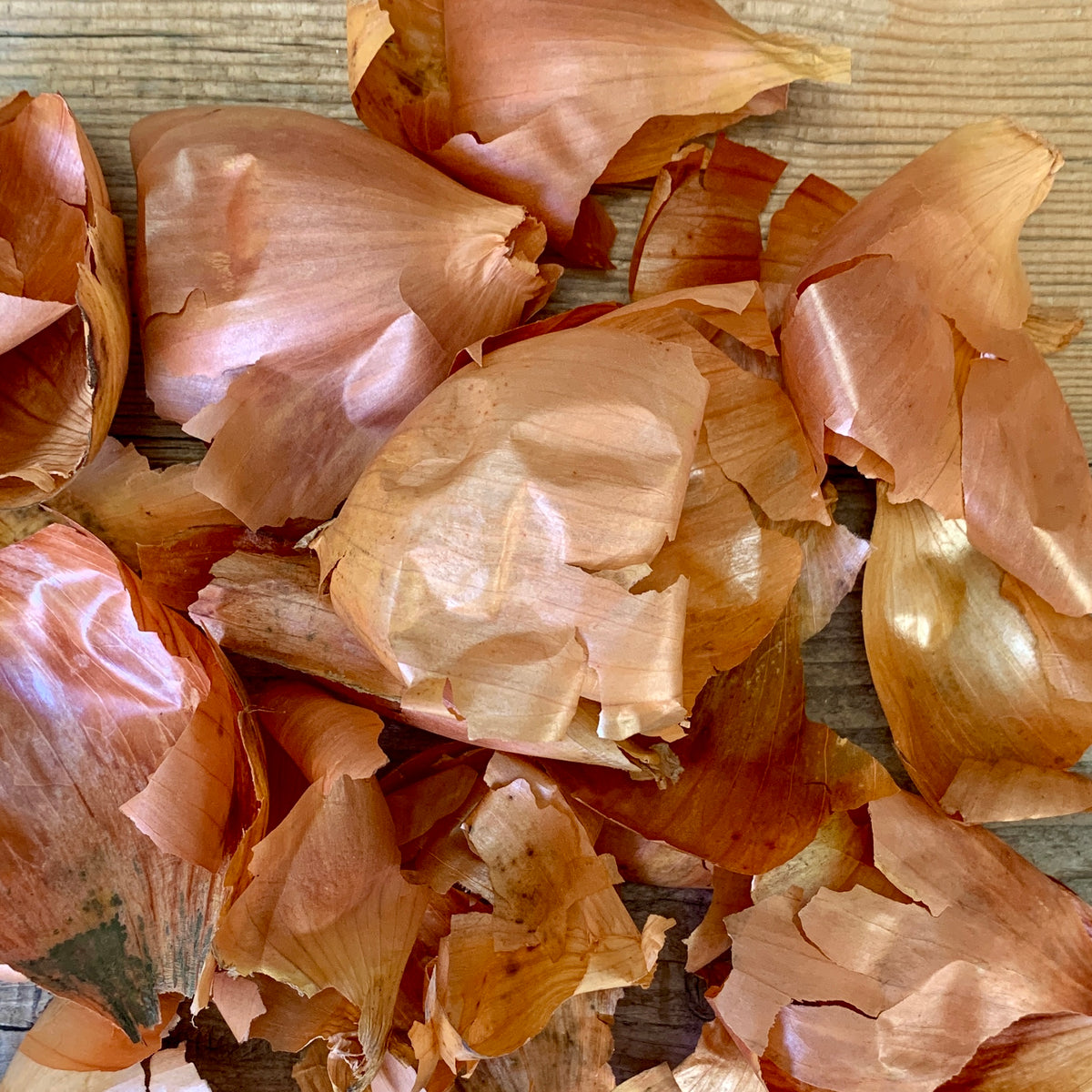 An Introduction to Natural Dyeing: A self-paced online course