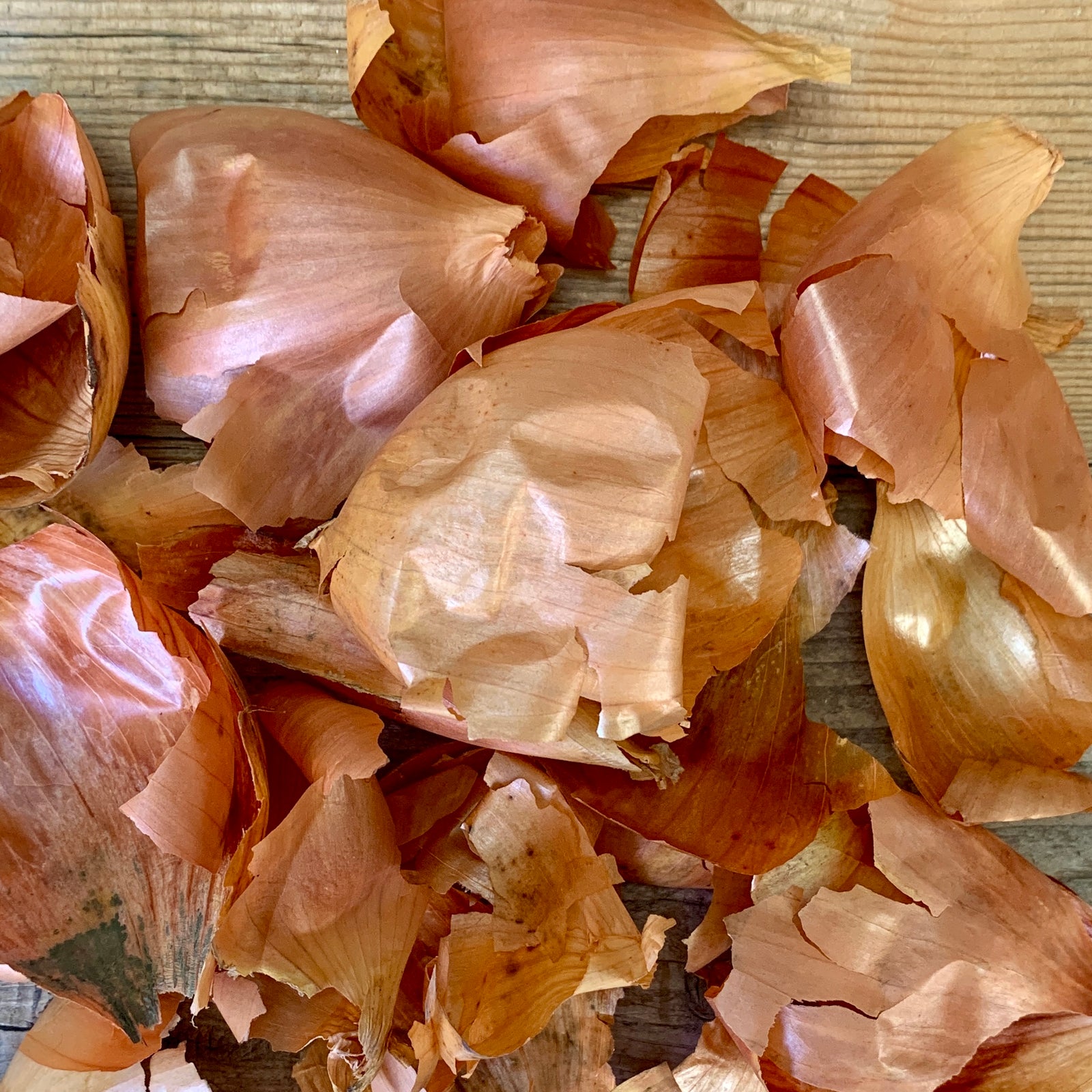 An Introduction to Natural Dyeing: A self-paced online course
